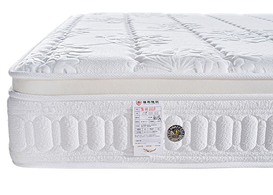 Hoge Hypoallergeen - de Matras van het dichtheidsschuim, Middelgrote Vaste de Lentematras van 10inch