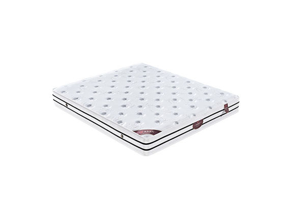 De comfortabele Gegoten Matras 14 Duim Antimijt Innerspring van de Geheugenlente